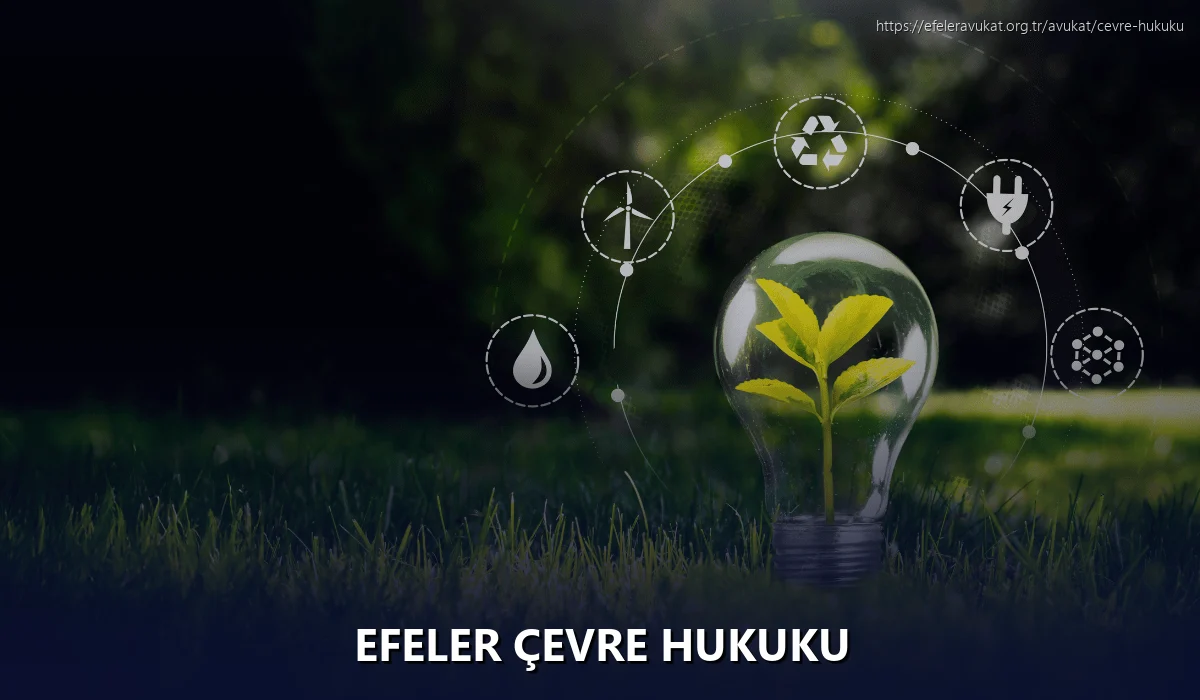 Efeler Çevre Hukuku
